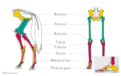 Comparatif