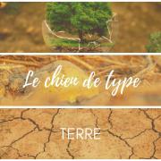 Terre